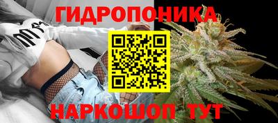 прущий лед Гатчина