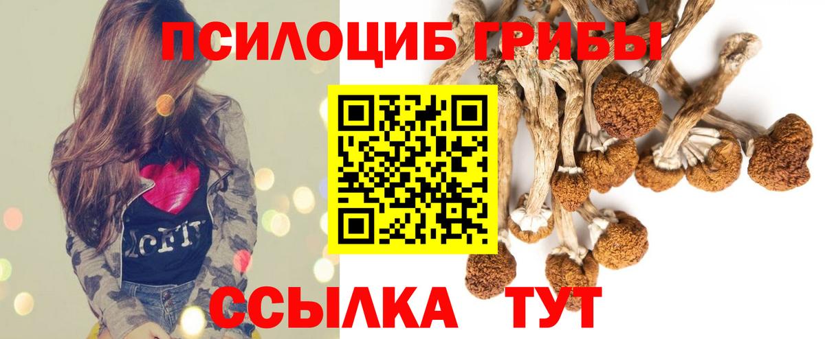 Галлюциногенные грибы ЛСД  Галлюциногенные грибы ЛСД  наркота  Медногорск  Вход с VPN 